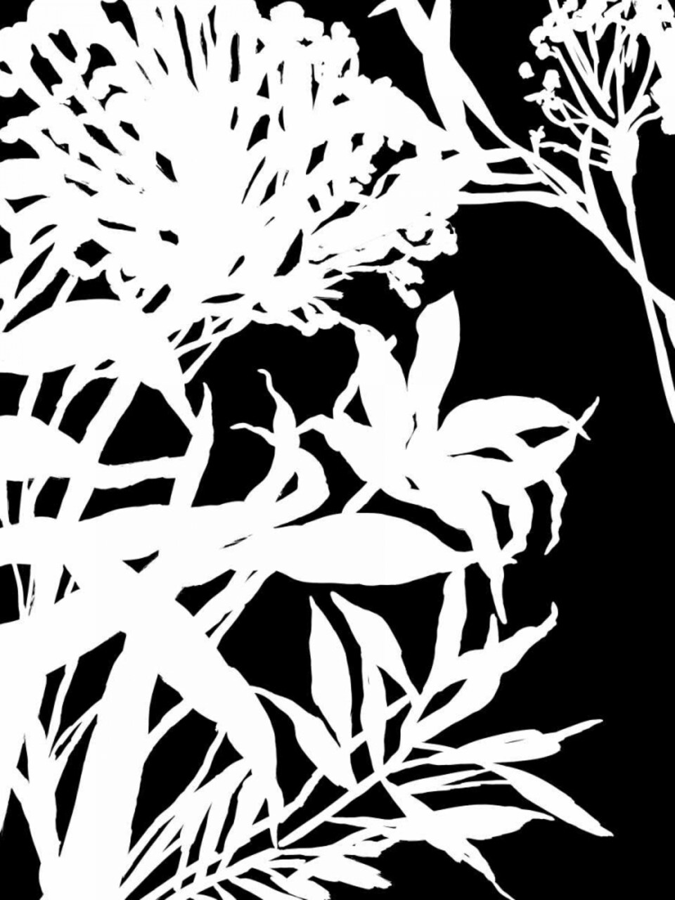 Monochrome Foliage III Poster Print by PI Studio - Item # VARPDXPG358A